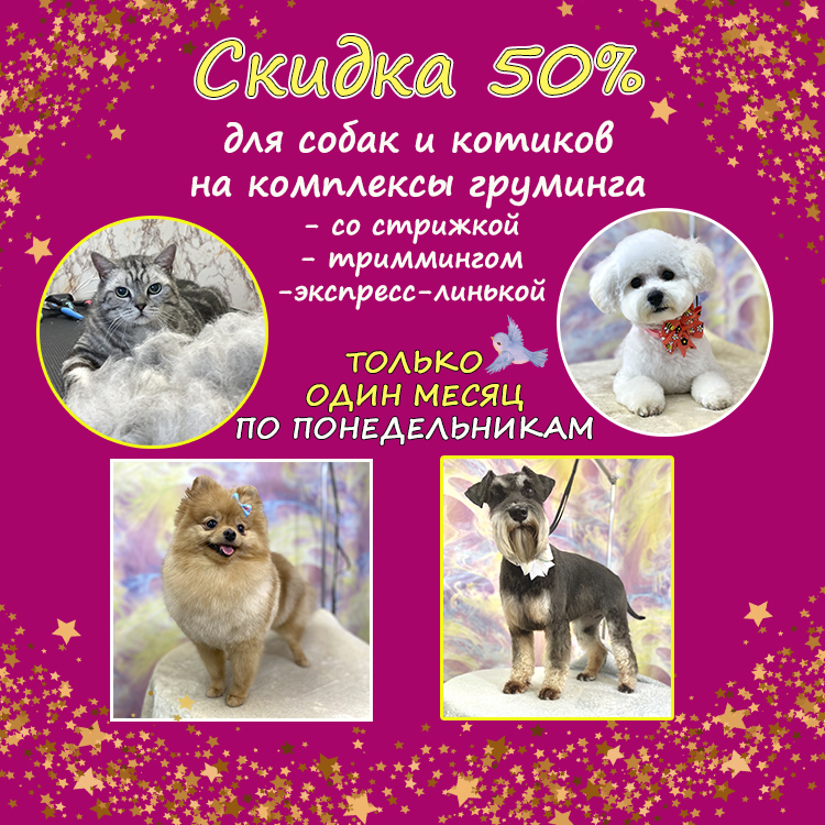 Акция для стажера понедельник - маленька.jpg